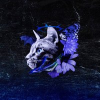 威戸れもね。 (@le_citr0n) 's Twitter Profile Photo 威戸れもね。 (@le_citr0n) 's Twitter Profile Photo