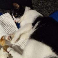 Prosempc (@prosempc) 's Twitter Profile