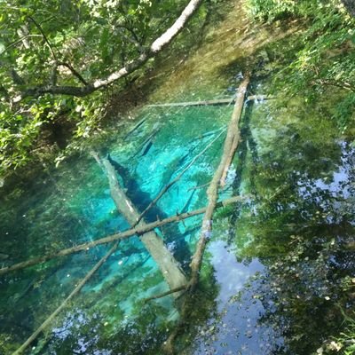 tk_remarks555's profile picture. リポストが主です

★好物★
広島東洋カープ
TM NETWORK
カーリング
NACS
海童