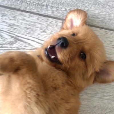 JSCalle_'s profile picture. En este momento de mi vida, tengo más que claro, que amo estar en constante aprendizaje