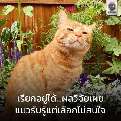 @Ppqb7lOn5bg0fW5