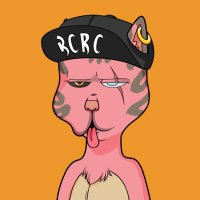BUSTER 🫡| $thebuster (@buster_nft) 's Twitter Profile