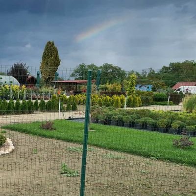 jelenabuhin's profile picture. 