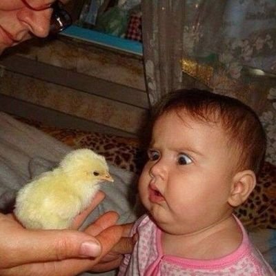 meshrinkhla's profile picture. I m good,what abt u?