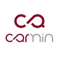 Carmin(@Carmin_Labs) 's Twitter Profile Photo