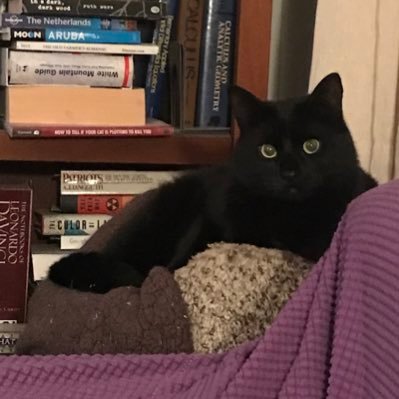 Unapologetic Retweeter, Assistant Professor, Nurse educator, Activist, Anti Genocide, Democracy junkie, wife, cat mom, Pisces, views are my own.