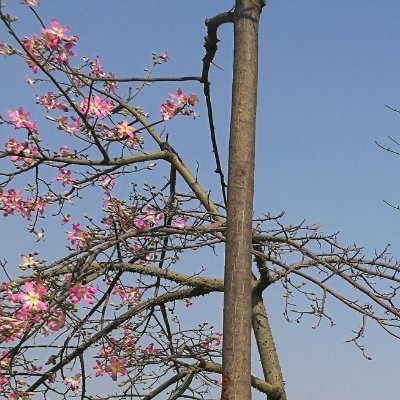 o66668's profile picture. 