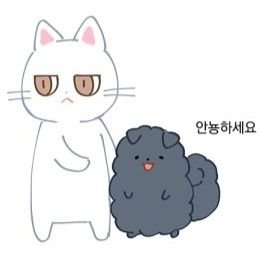 하비찡さんのプロフィール画像