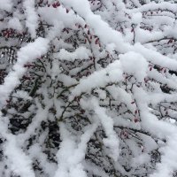 Mohammad 🇮🇷 (@mohammad___hm) 's Twitter Profile