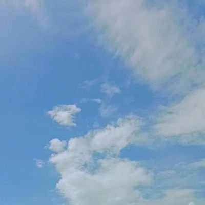 anQX5Bi46yFvY7e's profile picture. 