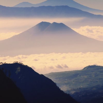 ryo_poll's profile picture. 