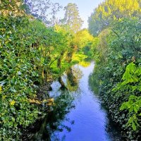 Hampstead Norreys (@hampsteadnorrey) 's Twitter Profile