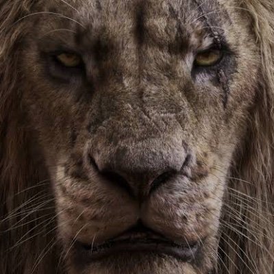 Oyinthamola's profile picture. 🍯💰