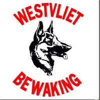 Westvlietbewaking BV (@westvlietbew) 's Twitter Profile