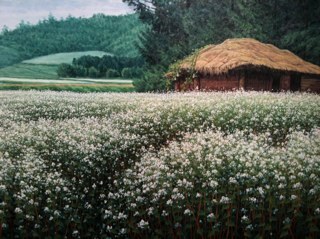 tax_refund1's profile picture. 