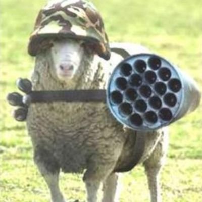 yuragi092's profile picture. ゲームやら絵やら色々やってます。ゲームアカウント→ @rayou290