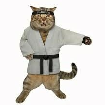 FeriChakhanian's profile picture. PHD Student
Data Scientist