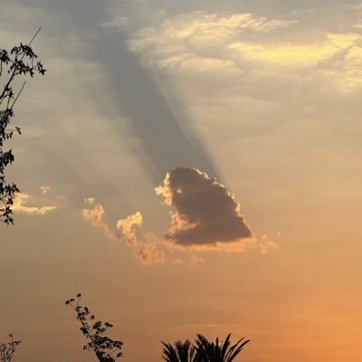 rabiekalash's profile picture. 