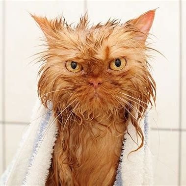 wareh86114's profile picture. Private account