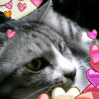 くてぃもんち (@kuteimonchi) 's Twitter Profile