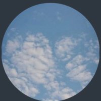 + (@m_88p) 's Twitter Profile Photo