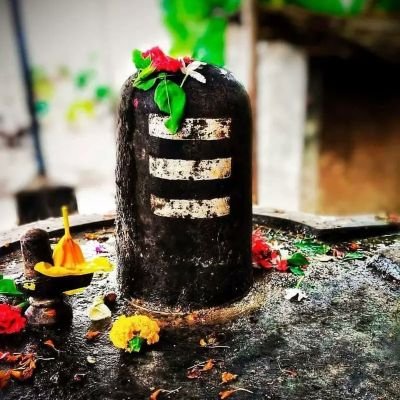 शिवभक्त 🙏 ॐ नमो शिवाय 🙏