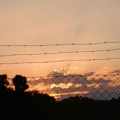 gonhialo's profile picture. vete de aqui
Solo se maldecir universidades, profesores y politicos
ah, y la f1. Y el futbol, de febrero a mayo
chronically online