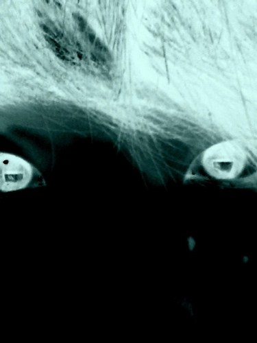 ivapo's profile picture. 好きなメンズです