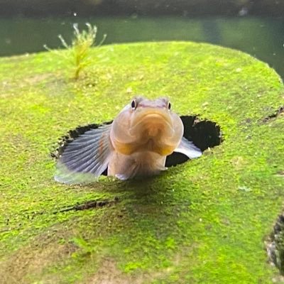 SbDCzvwiHrrOH2e's profile picture. 