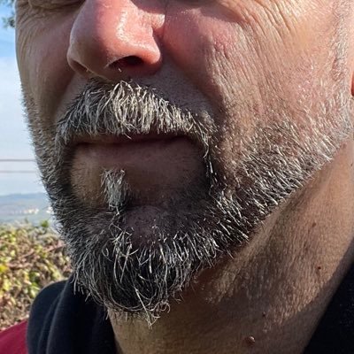 CheHardship's profile picture. #NOong #NOclandestini, #NOislam, #NOsinistra,#NOfanatismogay #NOddlZan #NOgreenpass #NOsbarchi