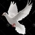 Ankur rawat (@ankurrawat9670) Twitter profile photo Ankur rawat (@ankurrawat9670) Twitter profile photo