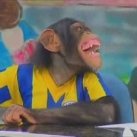 Onur Çobanoğlu (@onurcobnoglu) Twitter profile photo