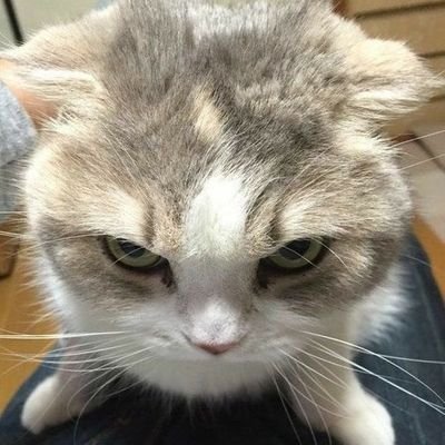 Mayismyfav's profile picture. Nothing