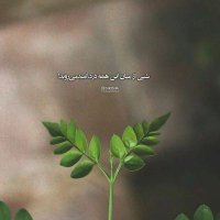 امید🌱 (@myd82340301) 's Twitter Profile