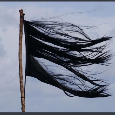 myHawk0101's profile picture. Şêr şêre çi jine çi mêre.