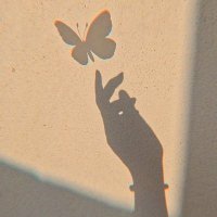 🇸🇦🦋فراشة (@zoomlens_79) Twitter profile photo
