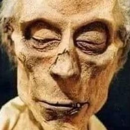 golionfort's profile picture. 