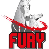 FalkirkFury (@furybball1) 's Twitter Profile