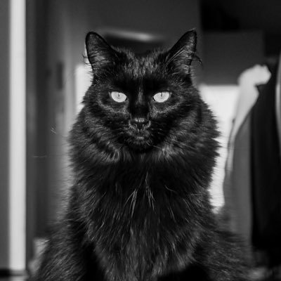 marandoSteve's profile picture. 