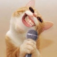 ꜱᴏꜰɪᴀ ꜰʀɪᴀꜱ (@sofiahf95) 's Twitter Profile