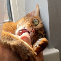 Nikita Erunkov (@nerunkov_m) 's Twitter Profile