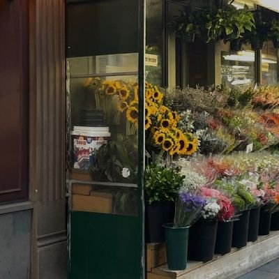 sha71727's profile picture. Rants but gets it done anyway.