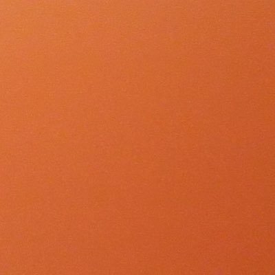 xzmpDmlcZnShXAe's profile picture. 