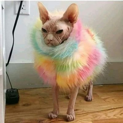 I collect newly NFTs! I like to watch news about crypto and art. Nice to meet everyone! DinoFam: https://t.co/5MOzBFs9eX