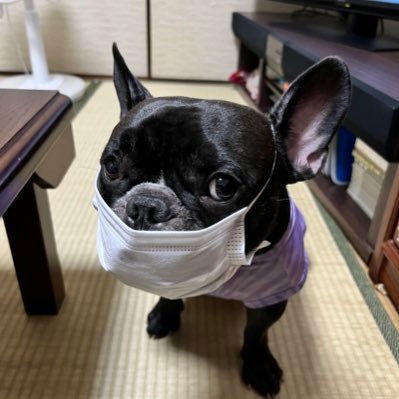 8RUdgab18mRpsmB's profile picture. 