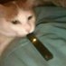 NormallySilent (@normal_silent) Twitter profile photo NormallySilent (@normal_silent) Twitter profile photo