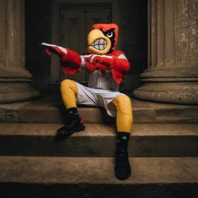 L1C4BirdGang's profile picture. #L1C4 #BirdGang #FlyVille23