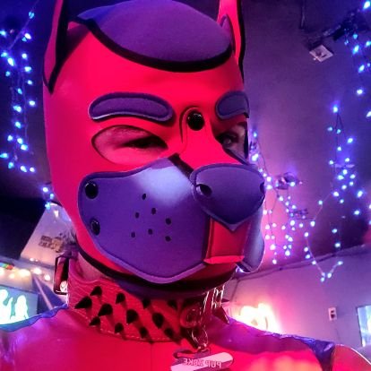 32 pup curious about everything always looking for fun.Also very kinky 18+  DMs are open just dont be weird about it 
Telegram-PupZeke1