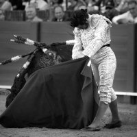 jmtriano (@jmtriano99) 's Twitter Profile Photo