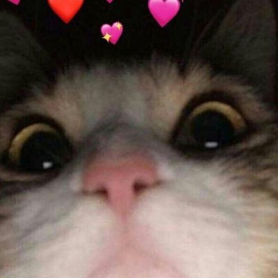 Roipinpin's profile picture. 